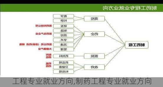 工程专业就业方向,制药工程专业就业方向