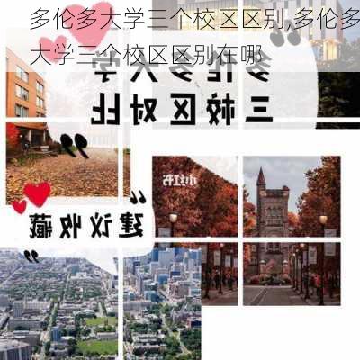 多伦多大学三个校区区别,多伦多大学三个校区区别在哪