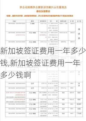 新加坡签证费用一年多少钱,新加坡签证费用一年多少钱啊