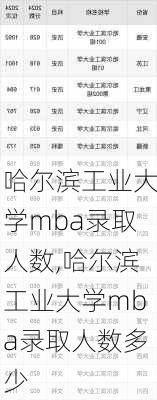 哈尔滨工业大学mba录取人数,哈尔滨工业大学mba录取人数多少