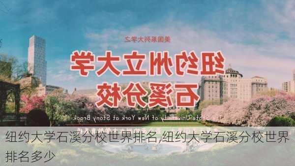 纽约大学石溪分校世界排名,纽约大学石溪分校世界排名多少