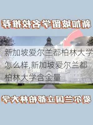 新加坡爱尔兰都柏林大学怎么样,新加坡爱尔兰都柏林大学含金量