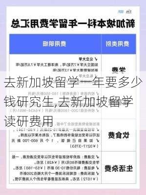 去新加坡留学一年要多少钱研究生,去新加坡留学读研费用