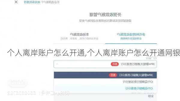 个人离岸账户怎么开通,个人离岸账户怎么开通网银