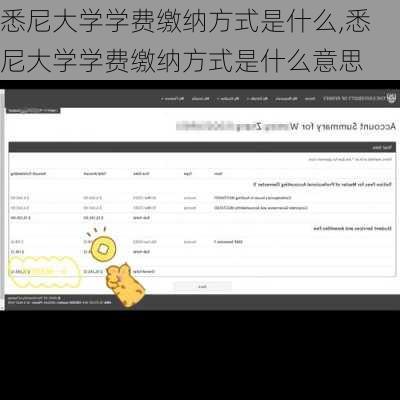 悉尼大学学费缴纳方式是什么,悉尼大学学费缴纳方式是什么意思