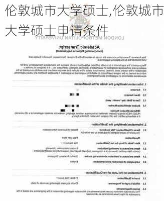 伦敦城市大学硕士,伦敦城市大学硕士申请条件