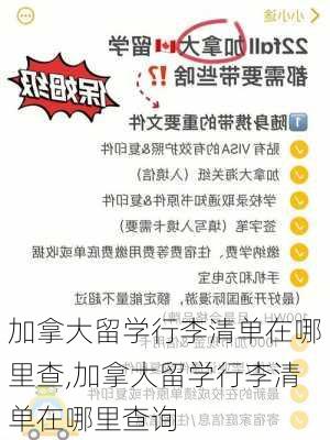 加拿大留学行李清单在哪里查,加拿大留学行李清单在哪里查询