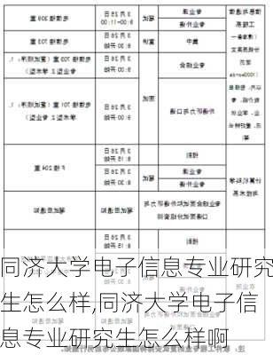 同济大学电子信息专业研究生怎么样,同济大学电子信息专业研究生怎么样啊