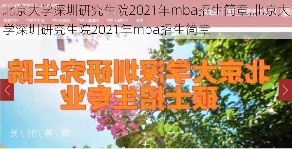 北京大学深圳研究生院2021年mba招生简章,北京大学深圳研究生院2021年mba招生简章