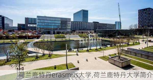 荷兰鹿特丹erasmus大学,荷兰鹿特丹大学简介