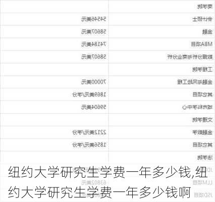 纽约大学研究生学费一年多少钱,纽约大学研究生学费一年多少钱啊