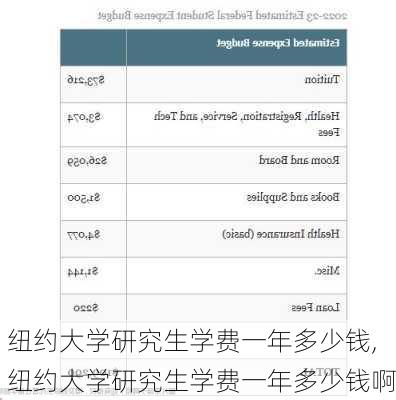 纽约大学研究生学费一年多少钱,纽约大学研究生学费一年多少钱啊