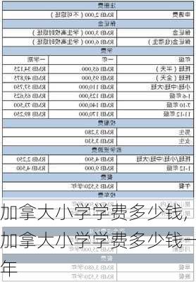 加拿大小学学费多少钱,加拿大小学学费多少钱一年