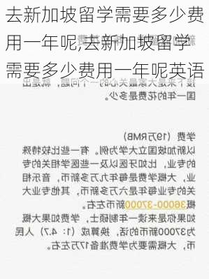 去新加坡留学需要多少费用一年呢,去新加坡留学需要多少费用一年呢英语