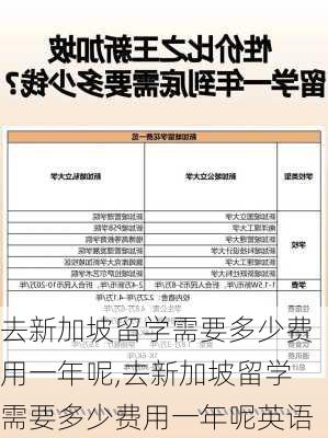 去新加坡留学需要多少费用一年呢,去新加坡留学需要多少费用一年呢英语