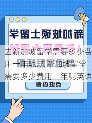 去新加坡留学需要多少费用一年呢,去新加坡留学需要多少费用一年呢英语