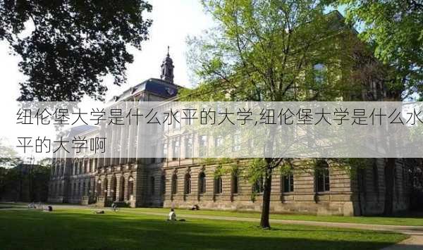 纽伦堡大学是什么水平的大学,纽伦堡大学是什么水平的大学啊