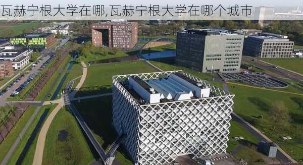 瓦赫宁根大学在哪,瓦赫宁根大学在哪个城市