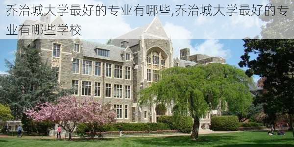 乔治城大学最好的专业有哪些,乔治城大学最好的专业有哪些学校