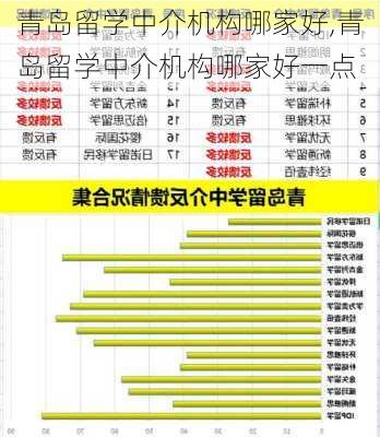 青岛留学中介机构哪家好,青岛留学中介机构哪家好一点