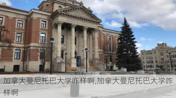 加拿大曼尼托巴大学咋样啊,加拿大曼尼托巴大学咋样啊