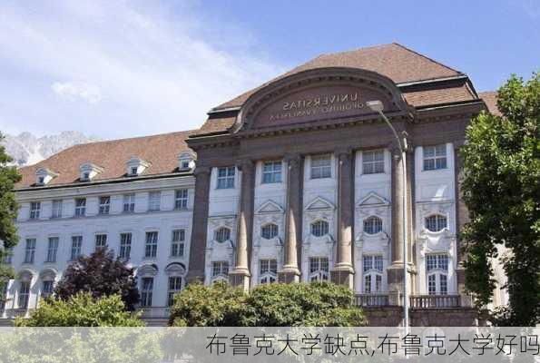 布鲁克大学缺点,布鲁克大学好吗