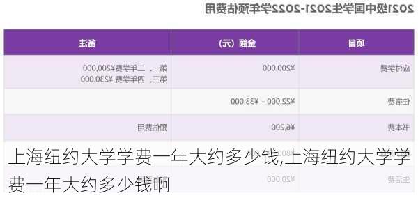 上海纽约大学学费一年大约多少钱,上海纽约大学学费一年大约多少钱啊