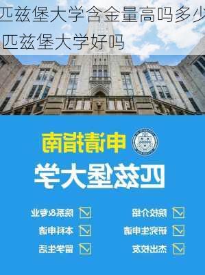 匹兹堡大学含金量高吗多少,匹兹堡大学好吗