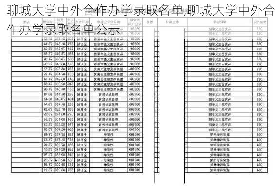 聊城大学中外合作办学录取名单,聊城大学中外合作办学录取名单公示