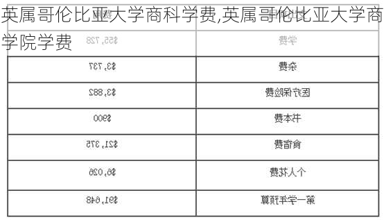 英属哥伦比亚大学商科学费,英属哥伦比亚大学商学院学费