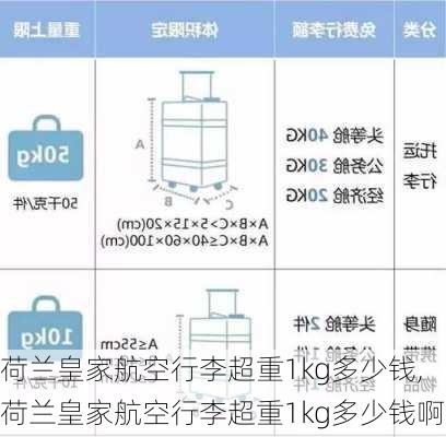 荷兰皇家航空行李超重1kg多少钱,荷兰皇家航空行李超重1kg多少钱啊