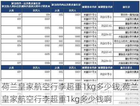 荷兰皇家航空行李超重1kg多少钱,荷兰皇家航空行李超重1kg多少钱啊