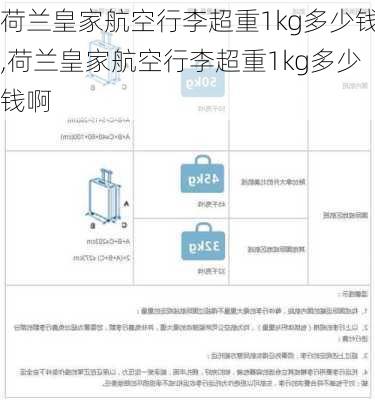 荷兰皇家航空行李超重1kg多少钱,荷兰皇家航空行李超重1kg多少钱啊