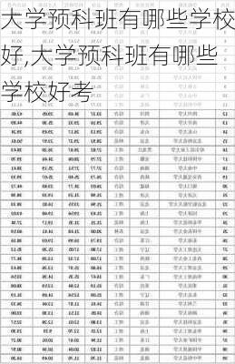 大学预科班有哪些学校好,大学预科班有哪些学校好考