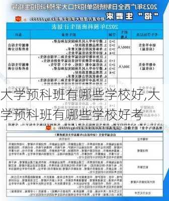 大学预科班有哪些学校好,大学预科班有哪些学校好考