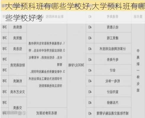 大学预科班有哪些学校好,大学预科班有哪些学校好考