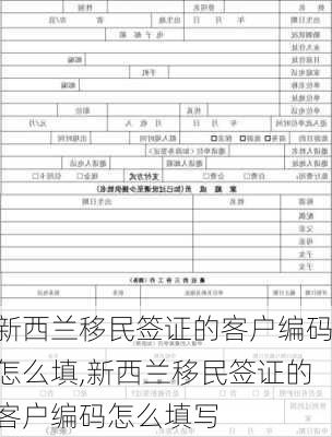 新西兰移民签证的客户编码怎么填,新西兰移民签证的客户编码怎么填写