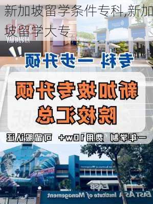 新加坡留学条件专科,新加坡留学大专