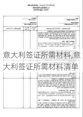 意大利签证所需材料,意大利签证所需材料清单