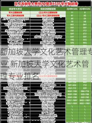 新加坡大学文化艺术管理专业,新加坡大学文化艺术管理专业排名