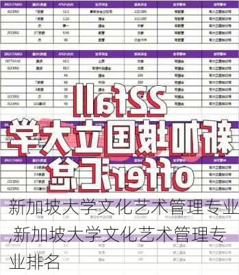 新加坡大学文化艺术管理专业,新加坡大学文化艺术管理专业排名