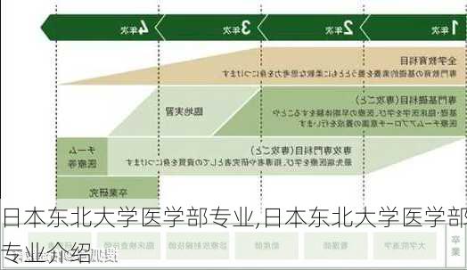 日本东北大学医学部专业,日本东北大学医学部专业介绍