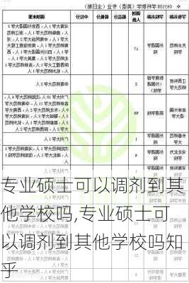 专业硕士可以调剂到其他学校吗,专业硕士可以调剂到其他学校吗知乎