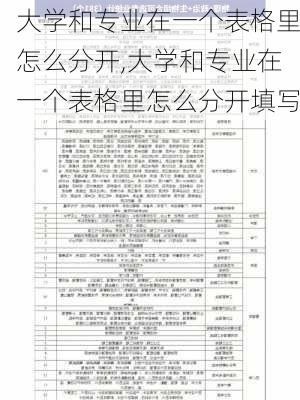 大学和专业在一个表格里怎么分开,大学和专业在一个表格里怎么分开填写