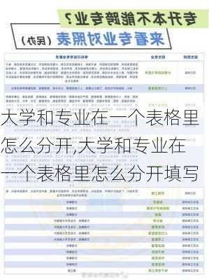 大学和专业在一个表格里怎么分开,大学和专业在一个表格里怎么分开填写