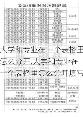 大学和专业在一个表格里怎么分开,大学和专业在一个表格里怎么分开填写