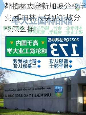 都柏林大学新加坡分校学费,都柏林大学新加坡分校怎么样