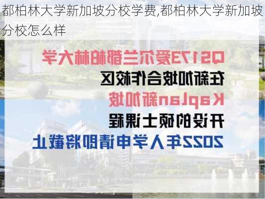 都柏林大学新加坡分校学费,都柏林大学新加坡分校怎么样