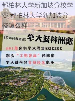 都柏林大学新加坡分校学费,都柏林大学新加坡分校怎么样