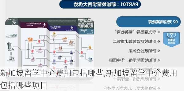 新加坡留学中介费用包括哪些,新加坡留学中介费用包括哪些项目